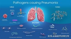 PCR實(shí)驗(yàn)室施工規(guī)范