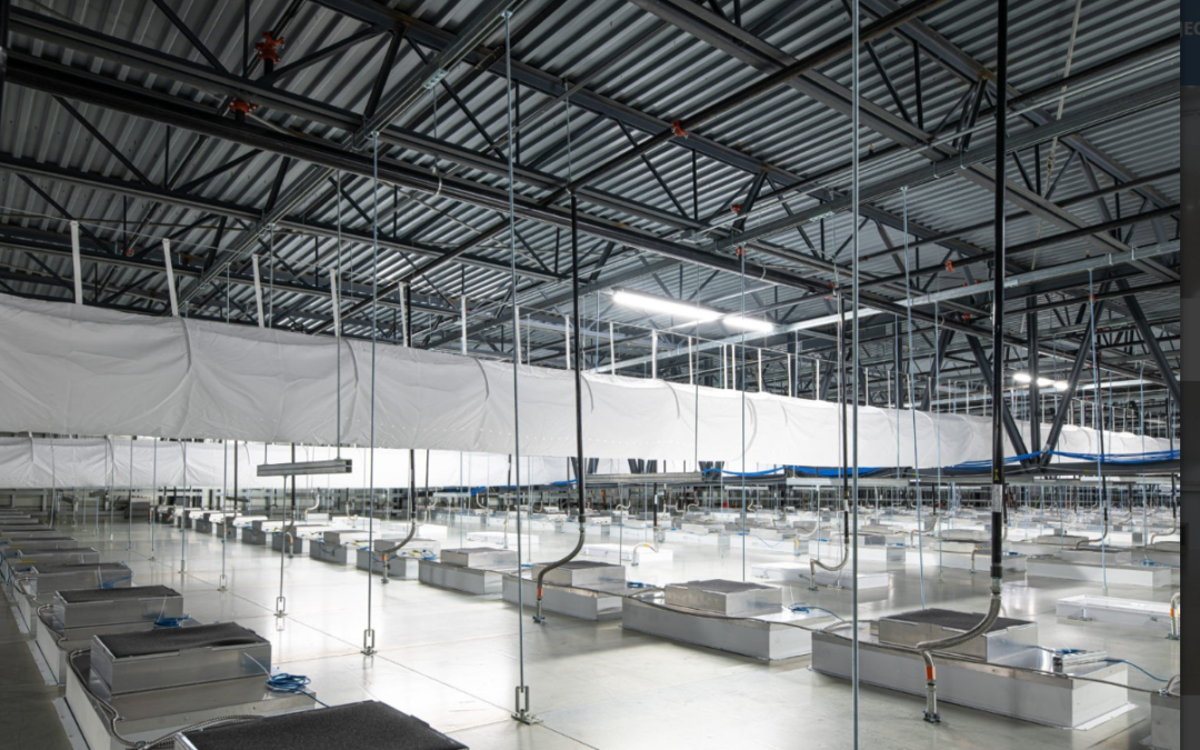 風(fēng)扇過(guò)濾器單元和空氣處理單元：有什么區(qū)別？