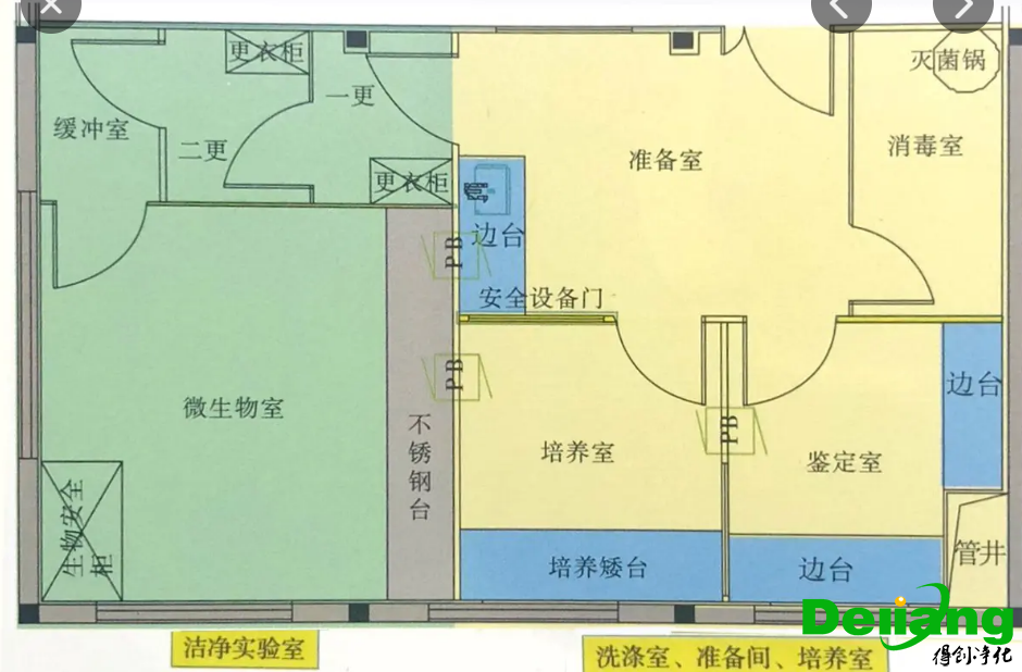 微生物實(shí)驗(yàn)室平面布局