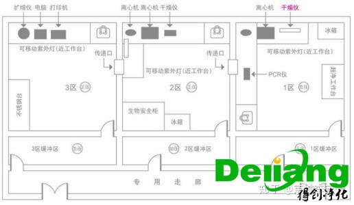 PCR實驗室效果圖