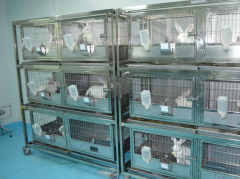 動(dòng)物實(shí)驗(yàn)室建設(shè)裝修標(biāo)準(zhǔn)