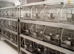 動物實驗室建設工程多少錢一平方