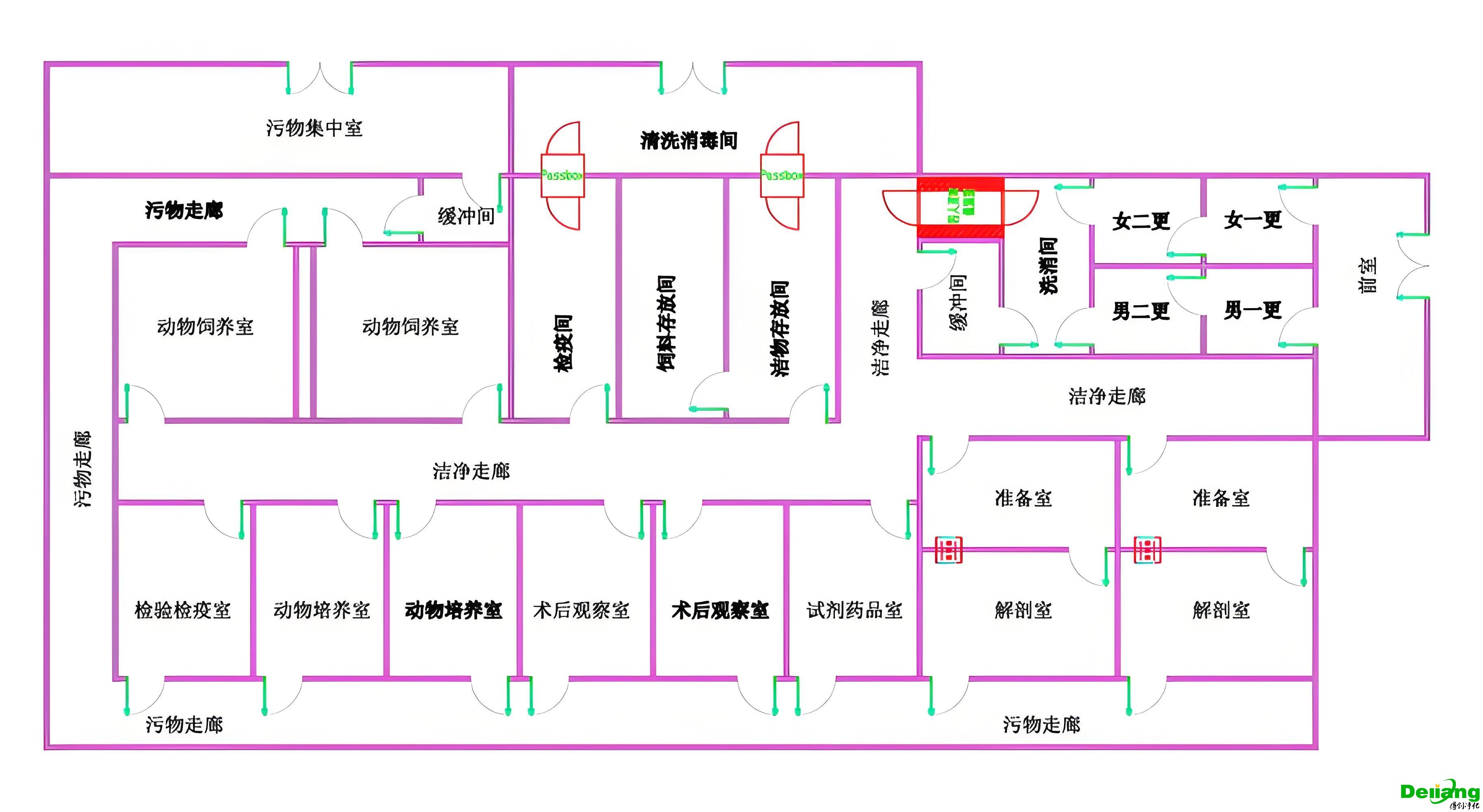 SPF動物實驗室功能區(qū)布局圖