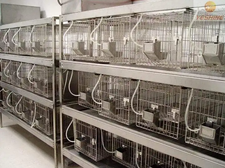 動物實驗室效果圖