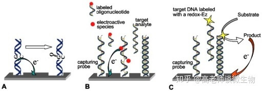 PCR實(shí)驗(yàn)室效果圖