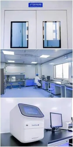 實驗室電路施工效果圖